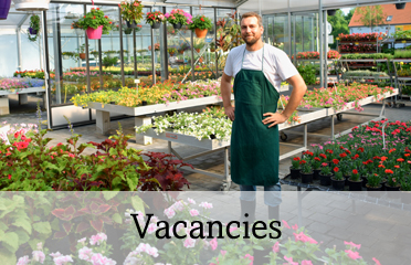 Vacancies