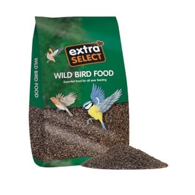 Nyger Seed Bird Feed (1kg)