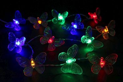 See more information about the Butterfly Decorations With 40 Multi-Coloured LED’S