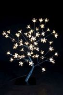 See more information about the 
Small Tree With 64 White Bulbs