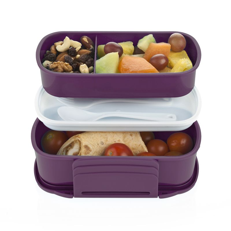 Bento Box 1.1L (Berry)