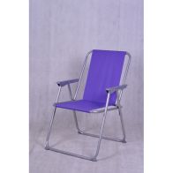 See more information about the Folding Picnic Chair Purple