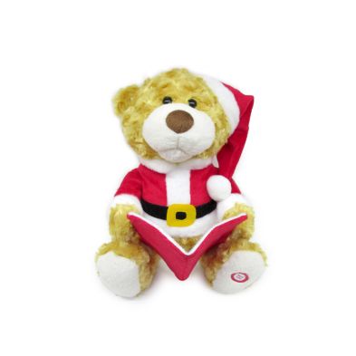 See more information about the Story Telling Bear Toy