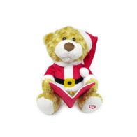 See more information about the Story Telling Bear Toy