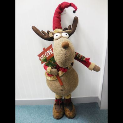 See more information about the Reindeer Christmas Decoration