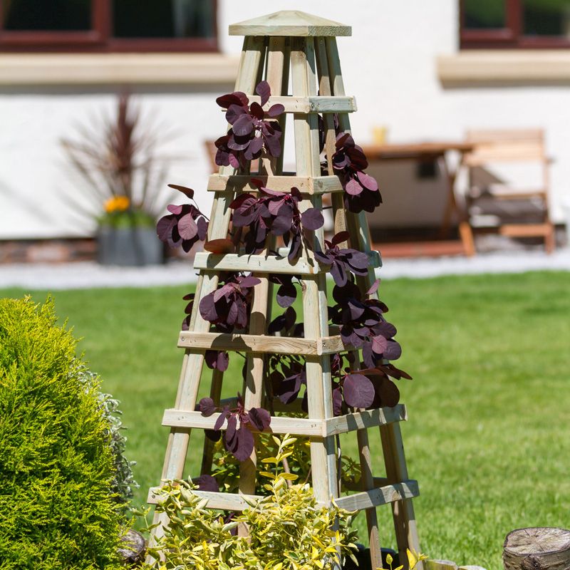 Scafell Obelisk Climbing Plant Trellis