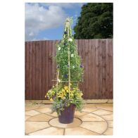 See more information about the Large Clemantis Flowerbell Wooden Garden Planter