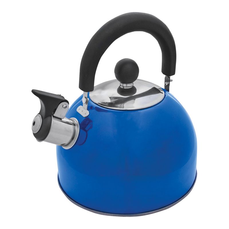 Stainless Steel Kettle Matallic Blue