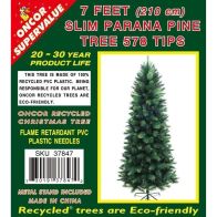 See more information about the 7 Feet (210cm) Slim Parana Pine Tree