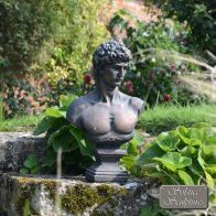 See more information about the David Bust Garden Statue DF8074