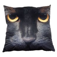 See more information about the Photographic Animal Cushion 45 x 45cm (Black Cat)