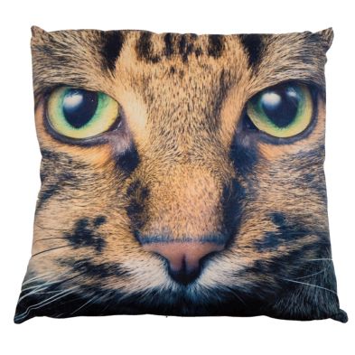 See more information about the Photographic Animal Cushion 45 x 45cm (Tabby Cat)