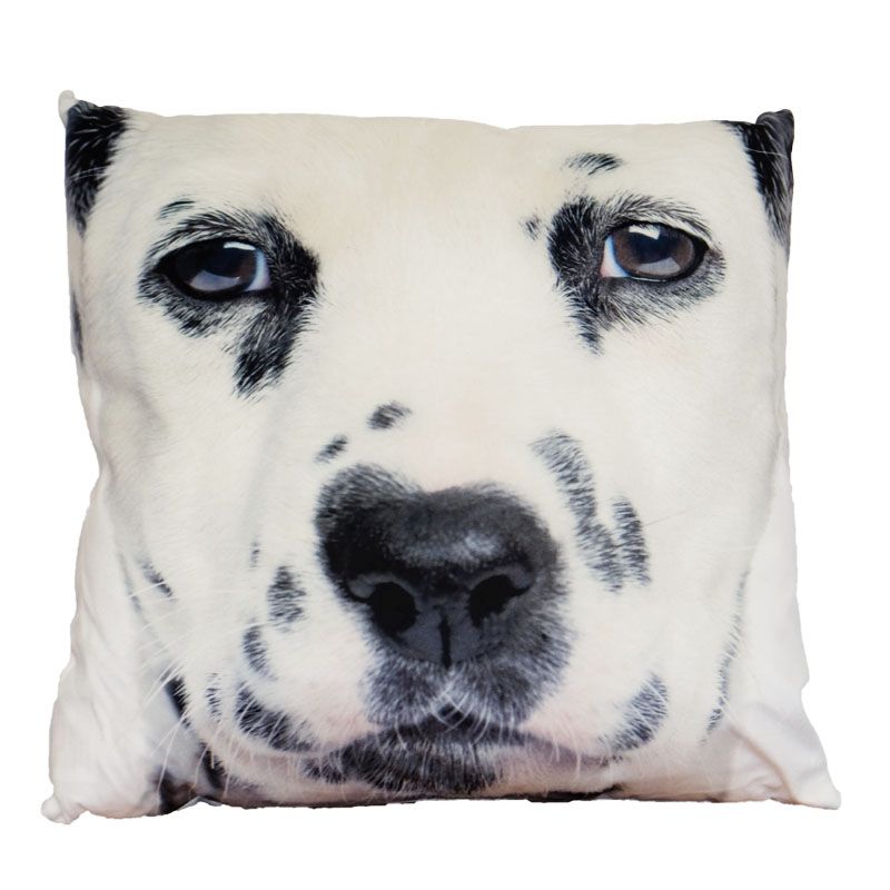 See more information about the Photographic Animal Cushion 70 x 70cm (Dalmatian)