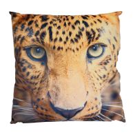 See more information about the Photographic Animal Cushion 45 x 45cm (Leopard)