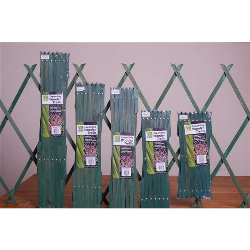 Trellis Green (6ft x 2ft)