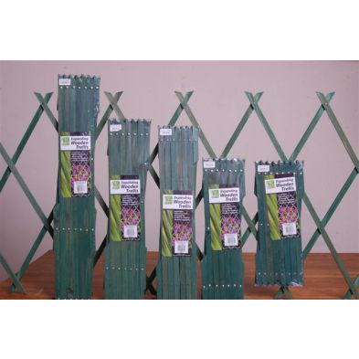 See more information about the Trellis Green (6ft x 4ft)