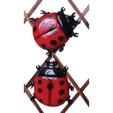 See more information about the Wall Ladybird (10")