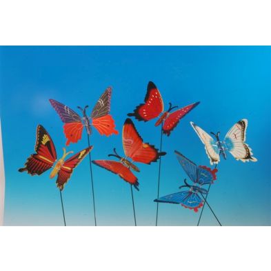 See more information about the Flapping Butterfly