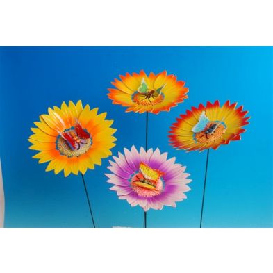 See more information about the Sunflower and Butterfly