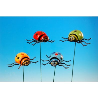 See more information about the Coloured Ladybirds On Stick