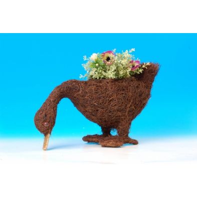 See more information about the Duck Planter