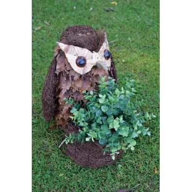 See more information about the Owl Planter