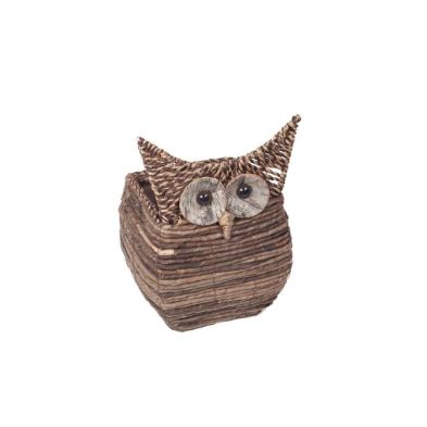 See more information about the Wise Owl Square Planter