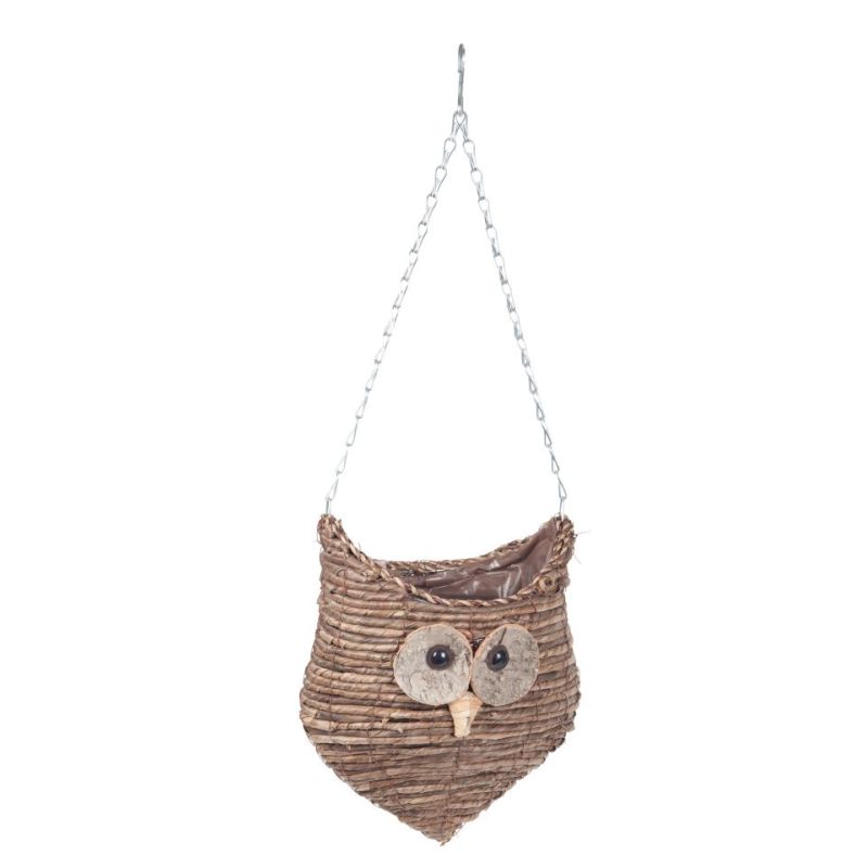 Wise Owl Hanging Planter