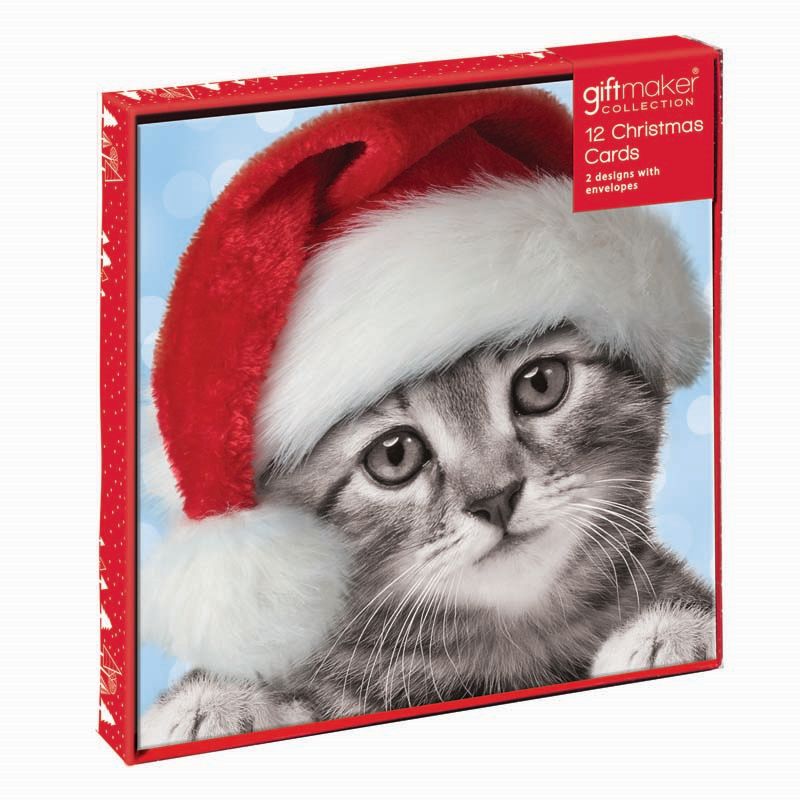 Christmas Cards Kitten 12 Pack