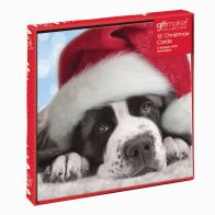 See more information about the Christmas Cards Puppies 12 Pack