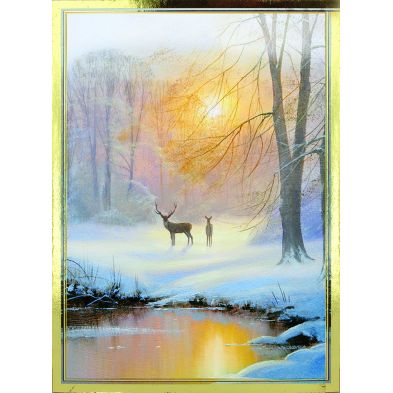 See more information about the 12 Christmas Cards (Fine Art)