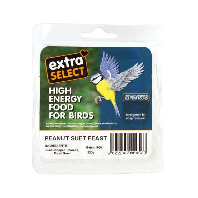 See more information about the Suet Block Peanut Bird Feed