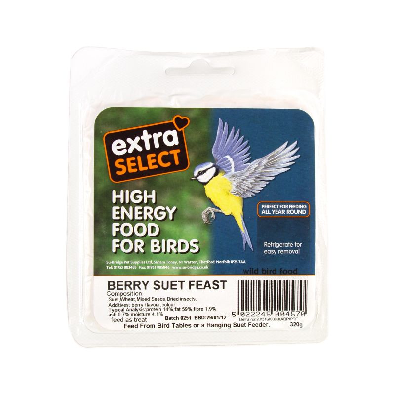 Suet Block Berry Bird Feed