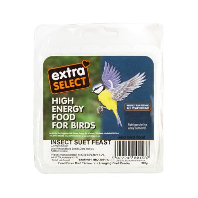 See more information about the Suet Block Insect Bird Feed