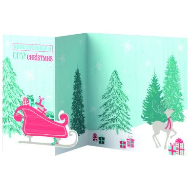 See more information about the 14 Folded Christmas Cards (Reindeer and Sleigh)