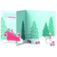 See more information about the 14 Folded Christmas Cards (Reindeer and Sleigh)